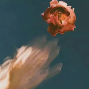 亚洲国产精品一区二区久久
