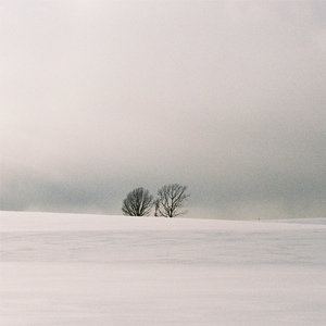 亚洲国产精品一区二区久久
